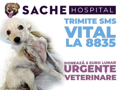 VITAL: O Șansă la Viață pentru Animalele în Nevoie